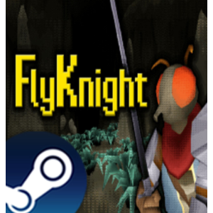・FLYKNIGHT (2025)・STEAM АККАУНТ + ИГРЫ・