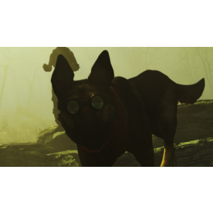 🧙Fallout 4🧙steam