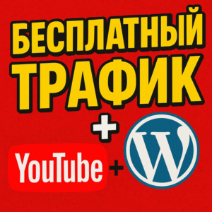 WordPress плагин для монетизации с Youtube!