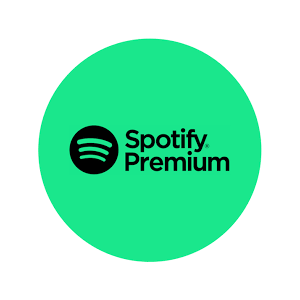 3/6/12 ОТДЕЛЬНЫЕ МЕСЯЦЫ SPOTIFY PREMIUM