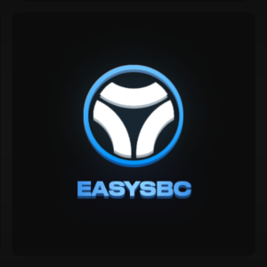 Easysbc Подписка 30 дней/1 год