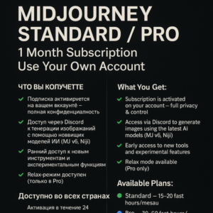 Midjourney Standard / Pro – 1 Month Subscription