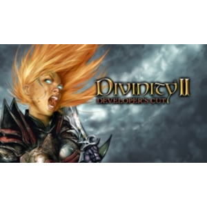 Divinity II: Developer´s Cut STEAM GIFT ВСЕ СТРАНЫ