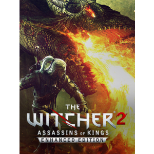 The Witcher 2: Assassins of King EE / GOG Key / GLOBAL