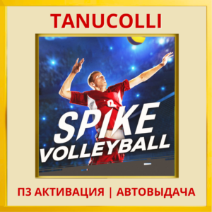 ☀️ Spike Volleyball  (PS4/PS5/RU) П3 - Активация