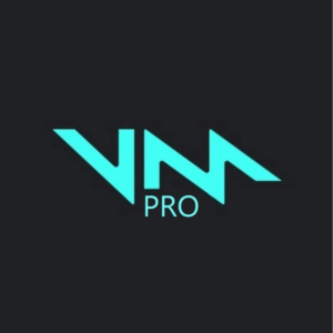 VOICEMOD PRO на 1 год  (Лицензионный ключ)