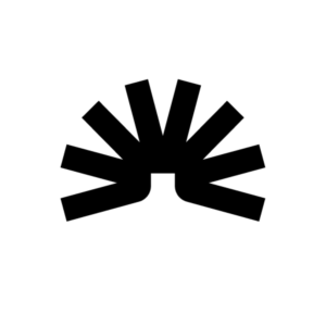 ElevenReader AI Plus | 12 месяц на ваш аккаунт