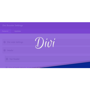 DIVI BOOSTER - оптимизатор DIVI BUILDER для WORDPRESS