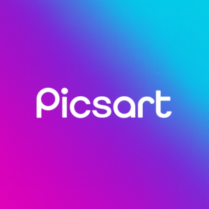 Picsart Plus/Pro |  12 месяц