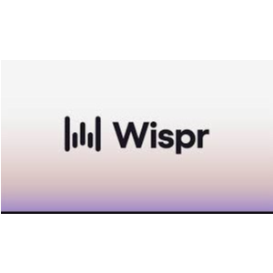 Wispr Flow Pro — 1 год владения | Голосовая диктовка на