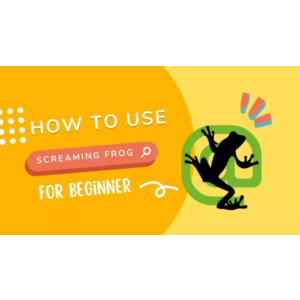 Лицензионный ключ Screaming Frog SEO Spider на 1 год