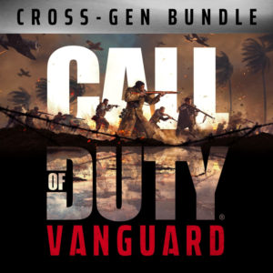 Call of Duty: Vanguard PS4/PS5 | П2/П3