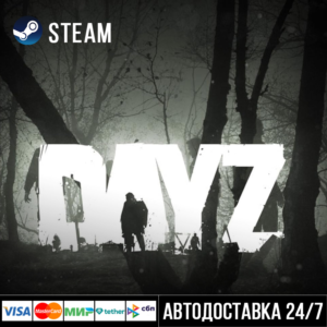 DayZ СТИМ Steam Gift