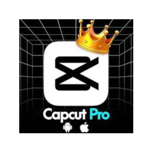 Capcut PRO 👑 ЧАСТНЫЙ Счет 30 ДНЕЙ