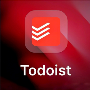 Todoist PRO | 1/12 месяцев Любой аккаунт Любой аккаунт