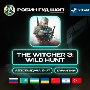 THE WITCHER 3: WILD HUNT STEAM GIFT GLOBAL АВТО 24/7