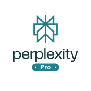 Perplexity AI Pro: 12 месяцев | Подписка, в пару кликов
