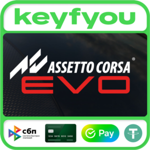 Assetto Corsa EVO / STEAM КЛЮЧ 🔥