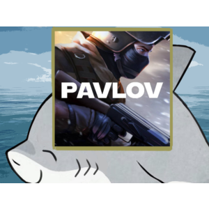 🌀Pavlov PS5 VR2 п2 п3