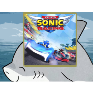 🌀Team Sonic Racing PS4 PS5 п2 п3