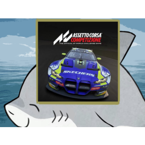 🌀Assetto Corsa Competizione PS4 PS5 п2 п3