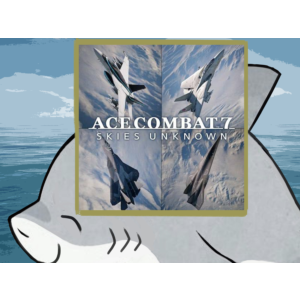 🌀ACE combat 7: skies unknown PS4 PS5 п2 п3