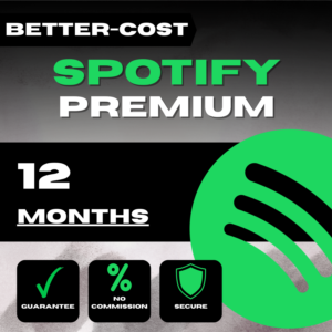 Подписка Spotify на 3/6/12 месяцев | Быстрая доставка