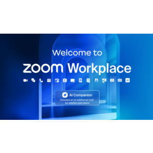 Подписка на Zoom Pro Workplace на 1–12 месяцев