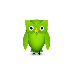 Приглашение на DUOLINGO SUPER/MAX на один год