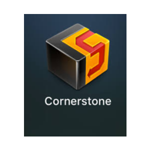 Версия 2 Критическая Subversion svn Cornerstone