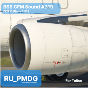 BSS A319 CFM PRO for X-Plane 11/12
