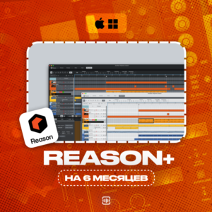 Reason+ [6 МЕСЯЦЕВ] | На личный аккаунт