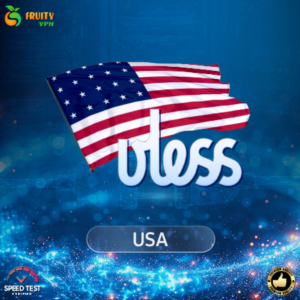 VPN США (VLESS ключ🛡️) 🚀 DNS шифрование