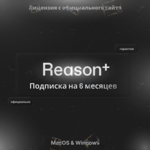 Reason+ – подписка на 6 месяцев с полным доступом