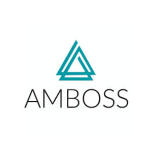 Аккаунт AMBOSS Premium, 1 месяц гарантии, общий
