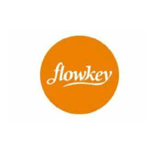 Подписка на премиум-аккаунт Flowkey на 1–12 месяцев