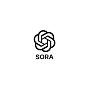 План Sora Ai $20plus, общий аккаунт на 1 месяц