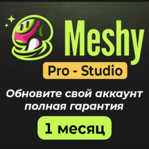 Meshy AI Подписка (Pro/Studio) – 1 месяц