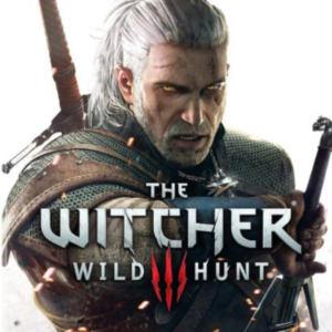 The Witcher 3: Wild Hunt Авто-Доставка 24/7