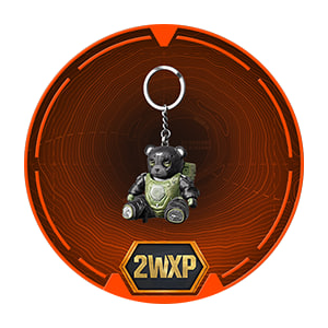 Weapon Charm + 60 минут W2XP Ключ | CoD Black Ops 7