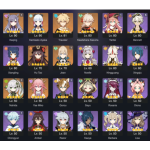 [2in1] GENSHIN IMPACT + Honkai: Star Rail / 55 AR