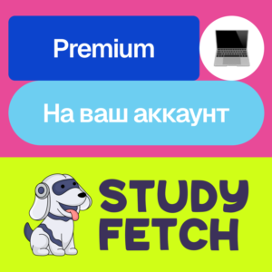 🎒 Study Fetch Premium | Месяц, год | На ваш аккаунт