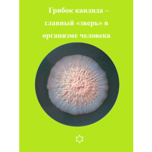 Грибок кандида – главный «зверь» в организме человека