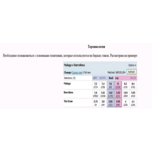 Как иметь гарантированную прибыль на спортивной бирже B