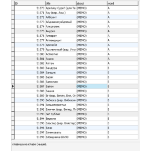 MySQL база данных компьютерного слэнга