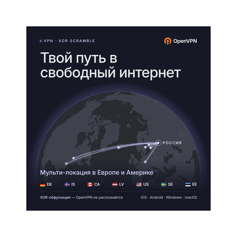VPN OpenVPN (XOR Scramble) · 30 days · Multiple locations