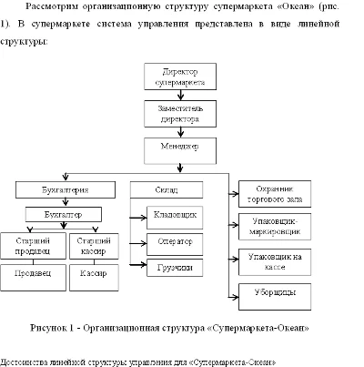 Диплом Мерчендайзинг (Уникальность 91%)