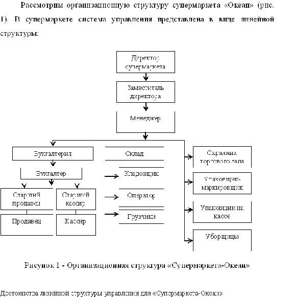Diploma Merchandising