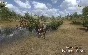 Mount & Blade: With Fire & Sword (Key - GOG / Reg Free)