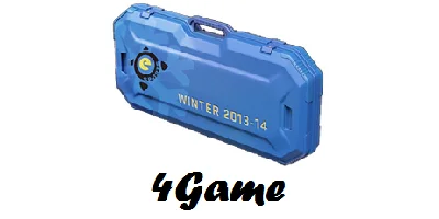 Winter 2013 case eSports (Random Weapon) + bonuses